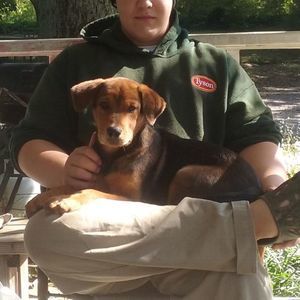 Meet your Posher, Cameron